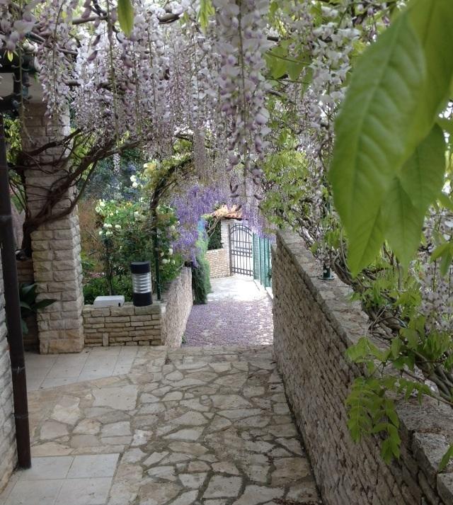 Goga Apartments 普拉 外观 照片